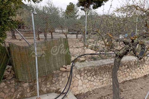 Landejendom i Yecla, Murcia, Yecla - € 180.000 | Ref: SF0495 - foto 35